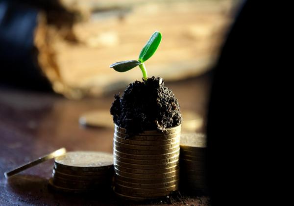 small plant growing out of dirt on top of pile of coins