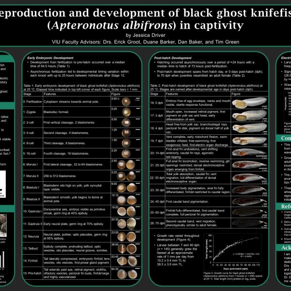 Jessica Driver's Research Poster