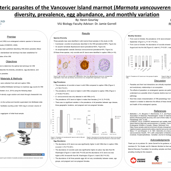 Kevin Gourlay's Research Poster