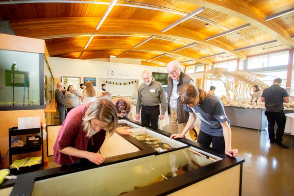 People looking at sea creatures in touch tanks