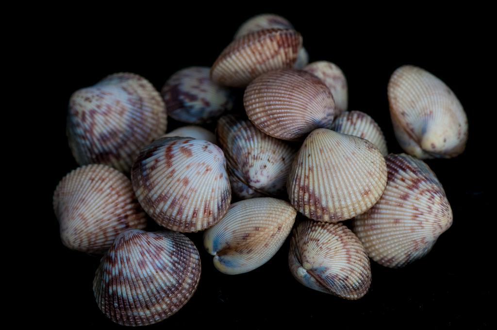 Cockle Basket