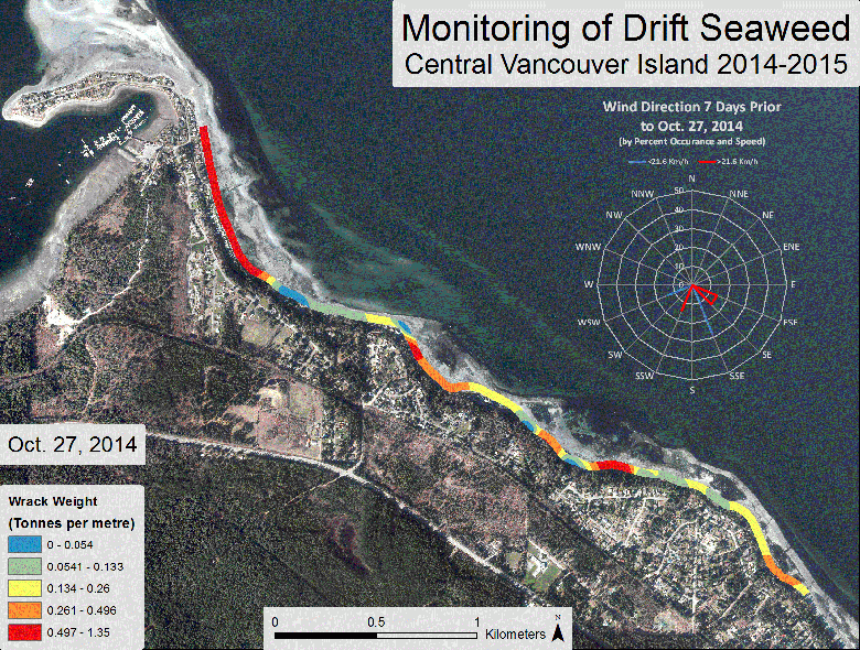 Monitoring seaweed (volume):  Deep Bay 