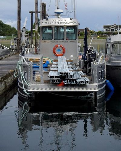 Assembly of NextGen shellfish raft