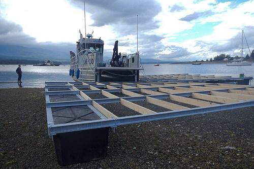 Assembly of NextGen shellfish raft