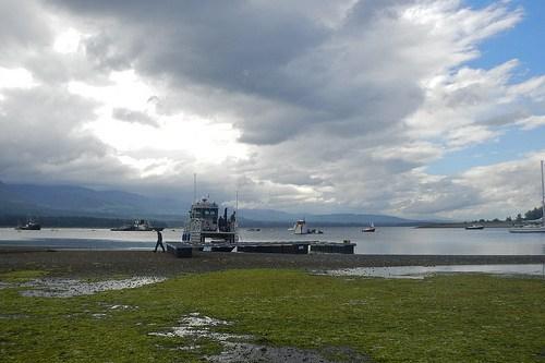 Assembly of NextGen shellfish raft