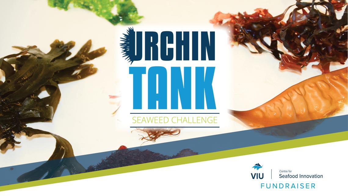 Urchin Tank Event Poster