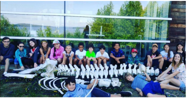 Killer Whale Skeleton and Students