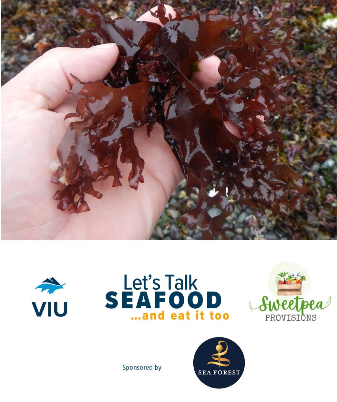 LTS Seaweed Feb 23 Website Logo