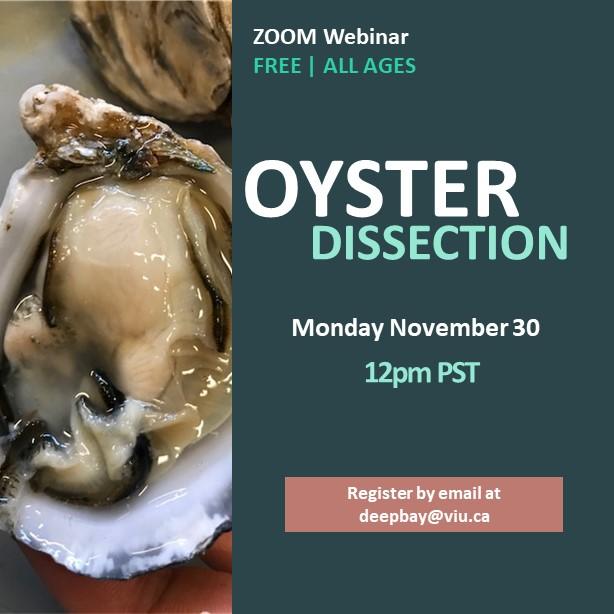 Oyster Dissection