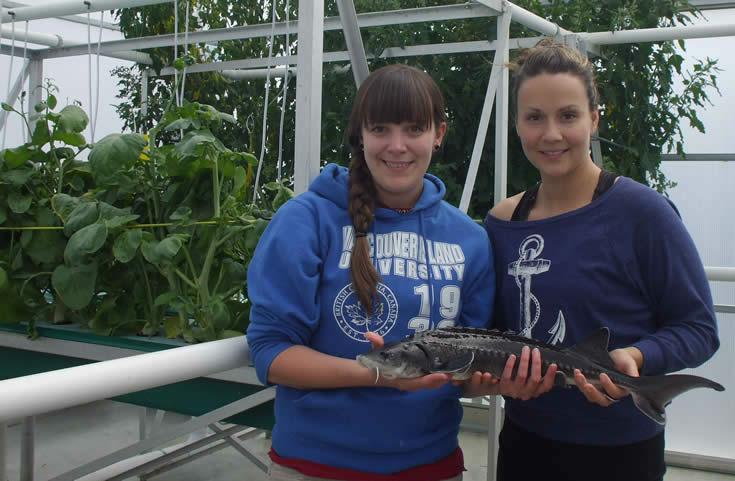 VIU students Kayla Mohns and Lenora Turcotte holding white sturgeon in aquaponics greenhouse