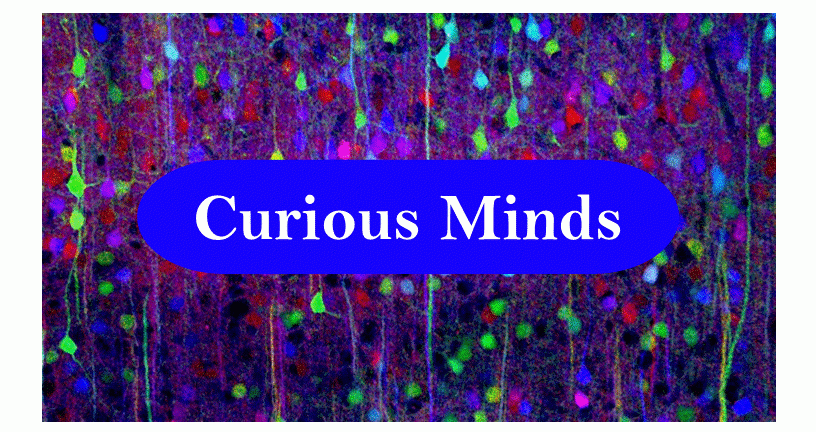 Curious Minds Student Research E-News