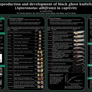 Jessica Driver's Research Poster