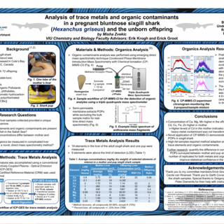 Misha Zvekic's Research Poster