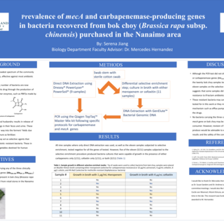 Serena Jiang's Research Poster