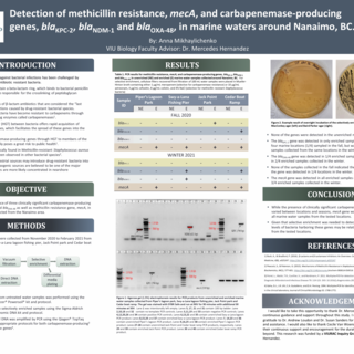 Anna Mikhaylichenko's Research Poster