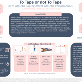 Cara Pattison's Research Poster