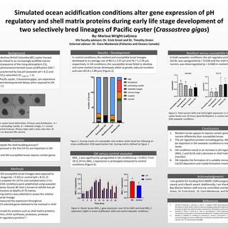 Marissa Wright-LaGreca's Research Poster