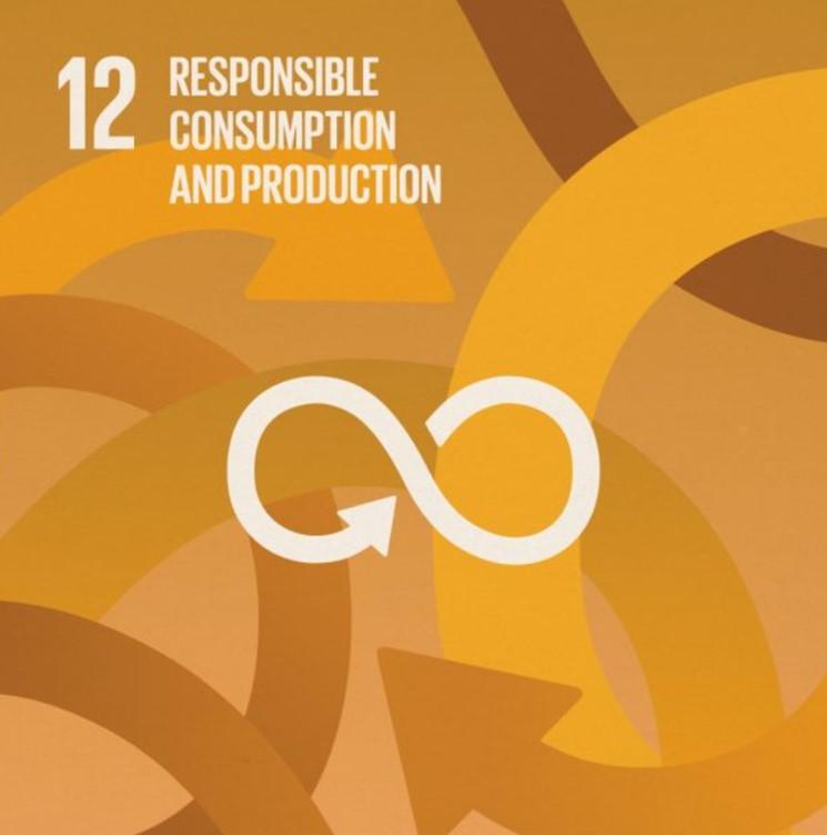sdg12 logo