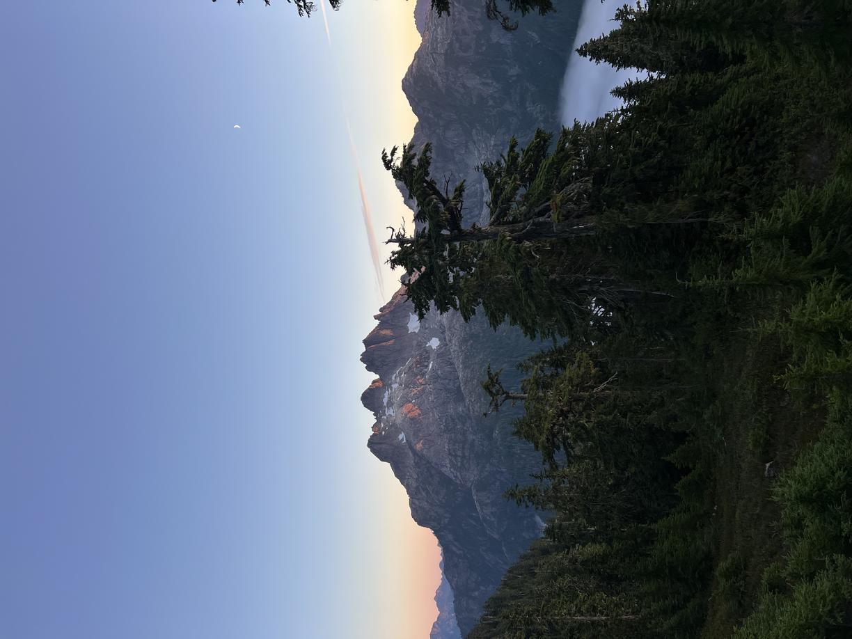 Forest in front of a rocky mountain