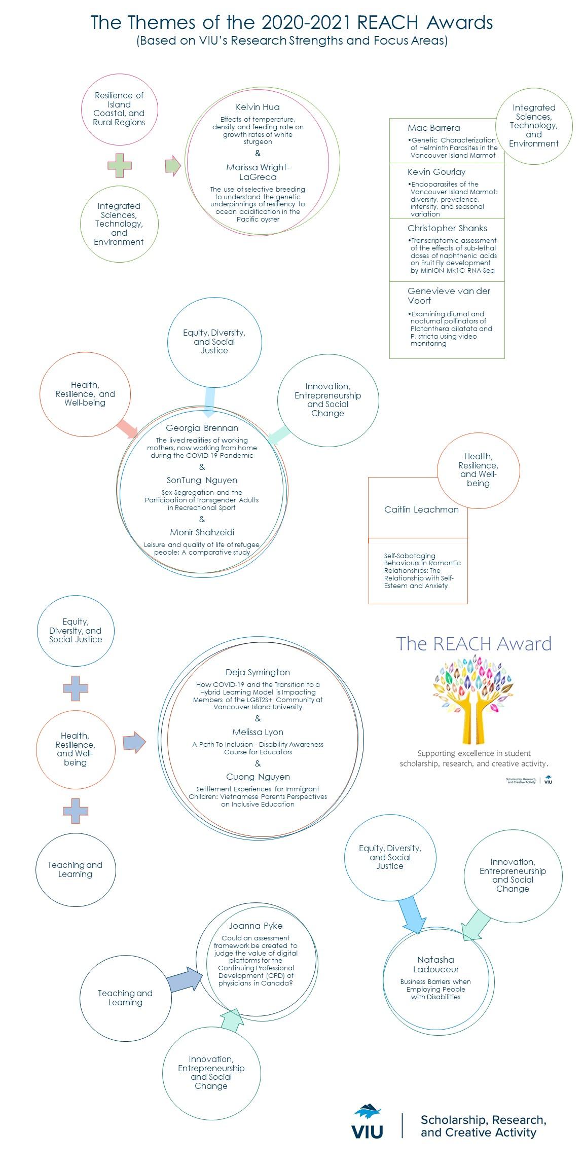 Showcasing the REACH Award according to VIU thematic area